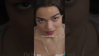 Experience the magic