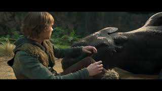 All About Toothless